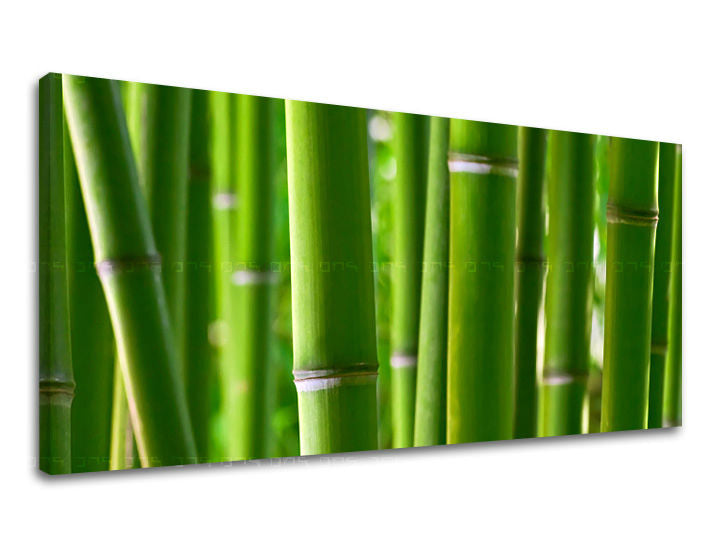 Stenska poslikava PANORAMA PLANTS RA017E13