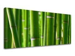 Stenska poslikava PANORAMA PLANTS RA017E13