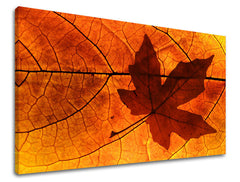 Stenska slika RASTLINY RA018E11