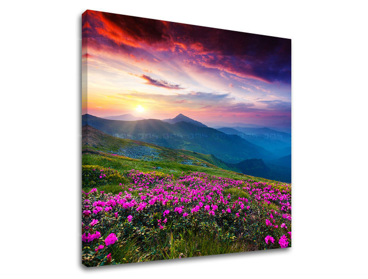 Slikanje sten SLOVAŠKA SK031E12