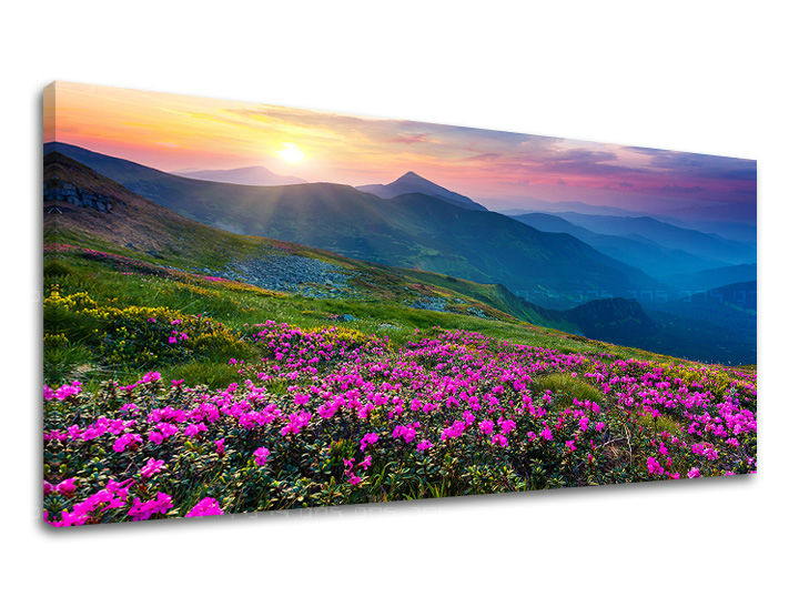 Stenska slika PANORAMA SLOVAŠKA