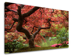 Stenska poslikava dreves ST001E11