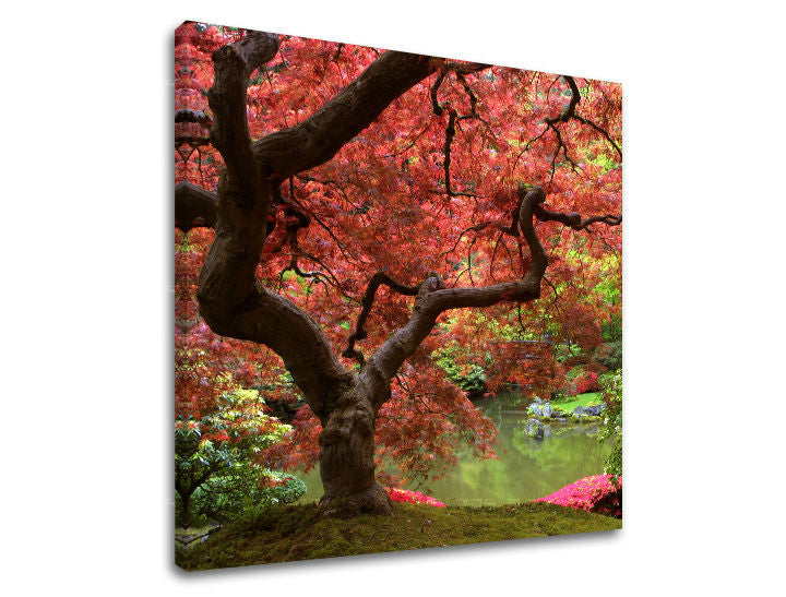 Stenska poslikava dreves ST001E12