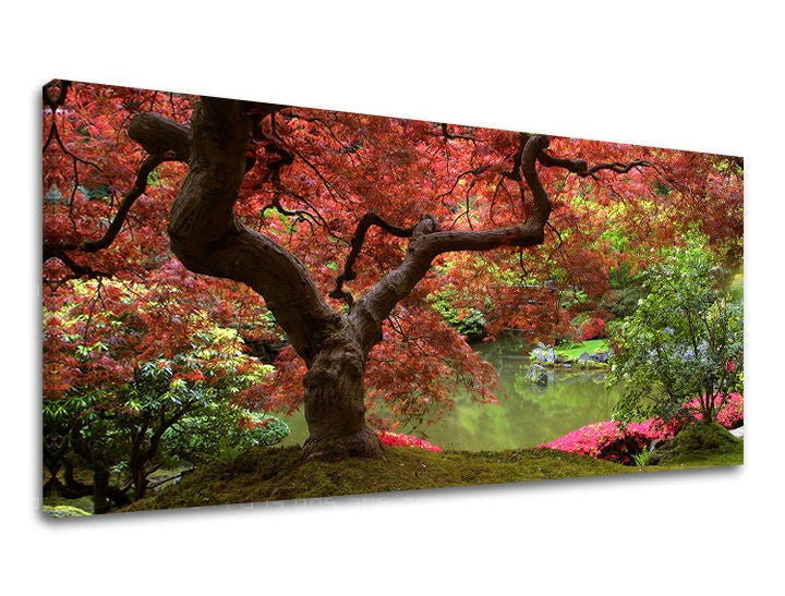 Stenska poslikava PANORAMA DREVESA - slika 2