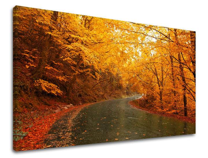 Stenska poslikava dreves ST002E11