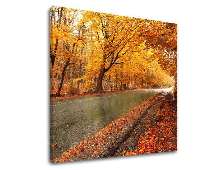 Stensko slikarstvo TREES ST003E12