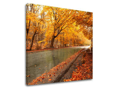 Stensko slikarstvo TREES ST003E12