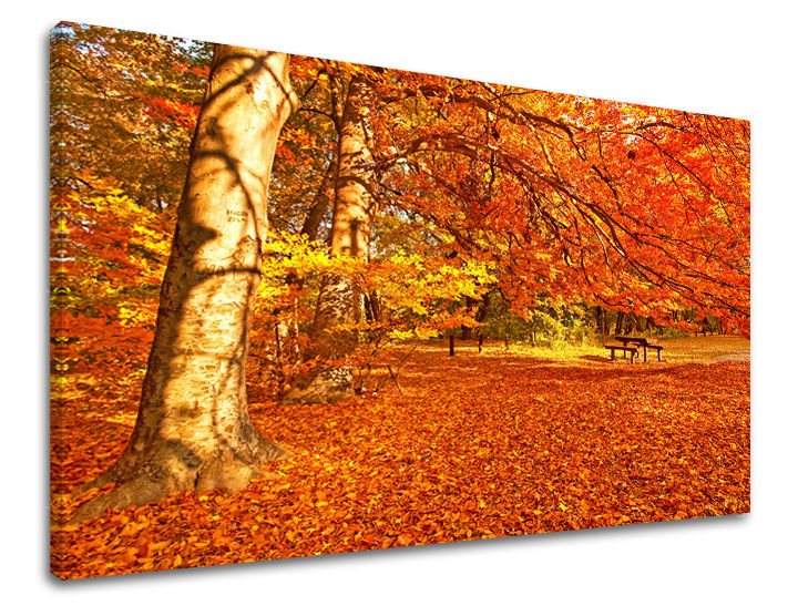 Stenska poslikava TREES ST005E11