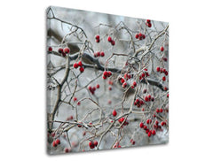 Stensko slikarstvo TREES ST006E12