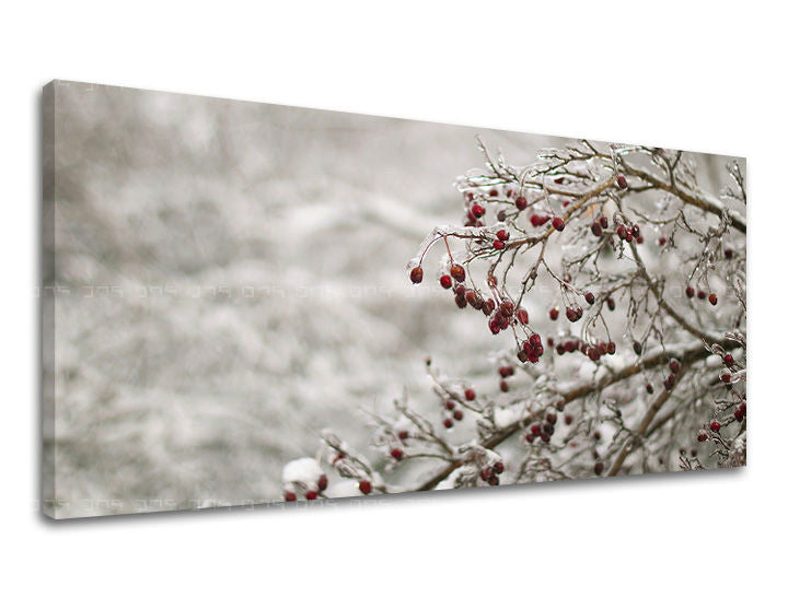 Slikanje sten PANORAMA TREES ST007E13