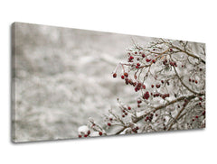 Slikanje sten PANORAMA TREES ST007E13