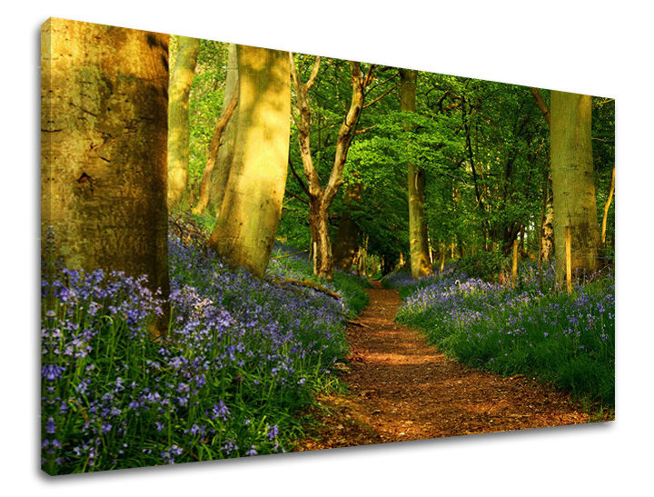 Stenska poslikava TREES ST009E11