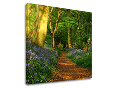 Slikanje sten TREES ST009E12