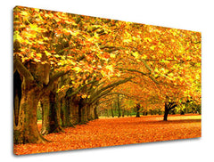 Stenska poslikava dreves ST010E11