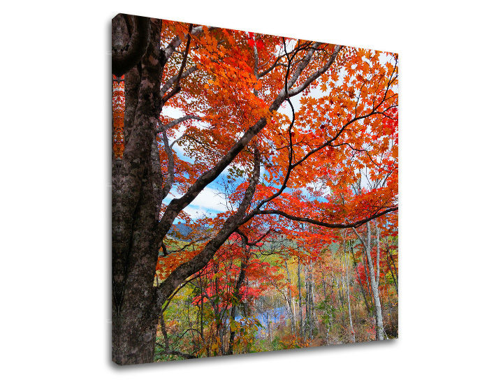 Stensko slikarstvo TREES ST012E12