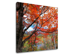 Stensko slikarstvo TREES ST012E12