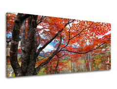 Slikanje sten PANORAMA TREES ST012E13