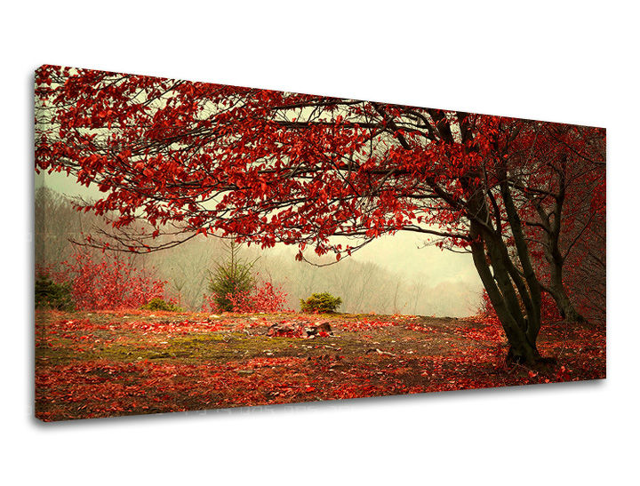 Slikanje sten PANORAMA TREES ST017E13