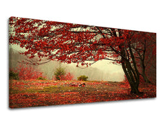 Slikanje sten PANORAMA TREES ST017E13