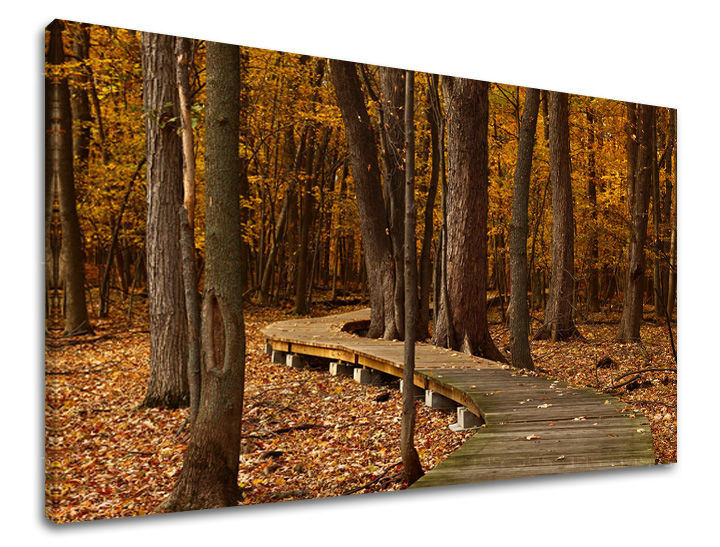 Slikanje sten TREES ST018E11