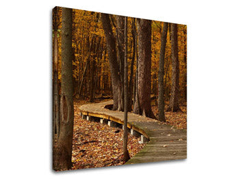 Slikanje sten TREES ST018E12