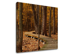 Slikanje sten TREES ST018E12