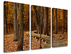 3-delna stenska poslikava DREVESA