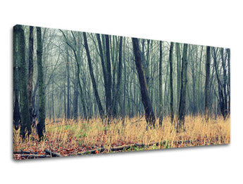 Slikanje sten PANORAMA TREES ST019E13