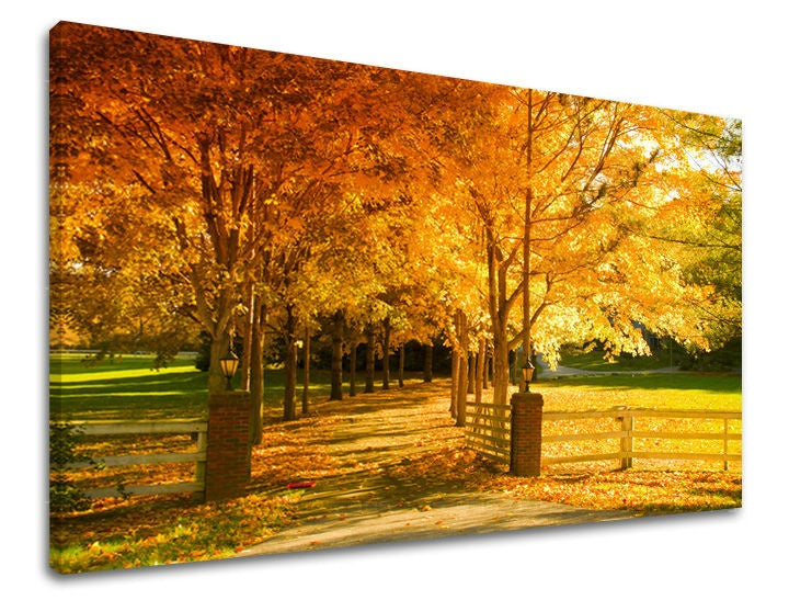 Slikanje sten DREVES