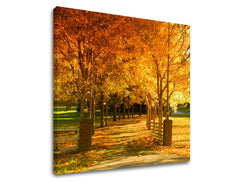 Slikanje sten DREVES ST020E12