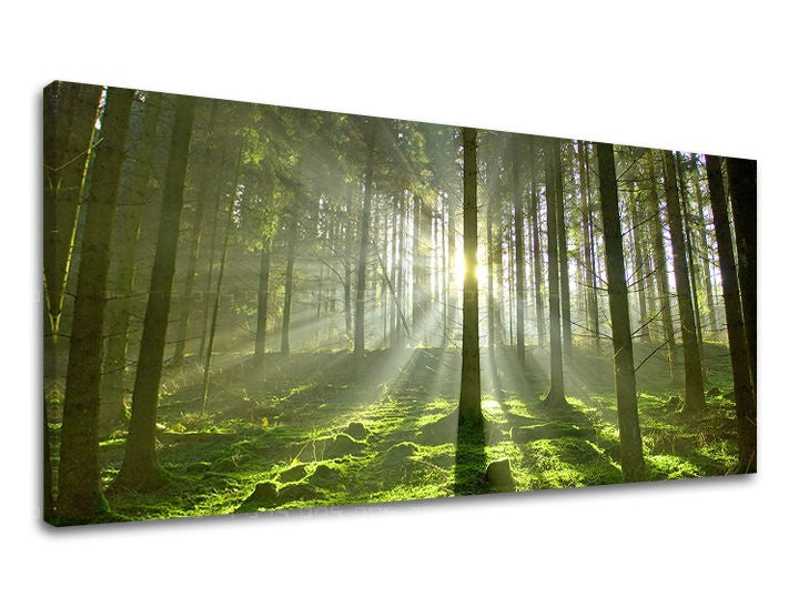 Stenska poslikava PANORAMA DREVESA