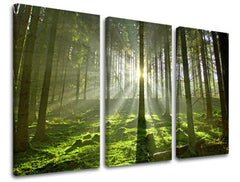 3-delna stenska slika TREES ST021E30