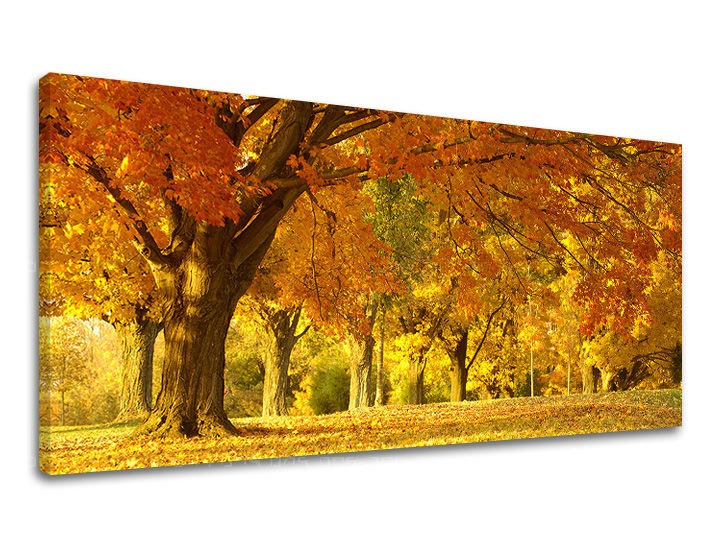 Stenska poslikava PANORAMA TREES ST022E13