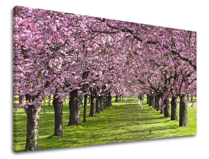 Stenska poslikava dreves ST023E11