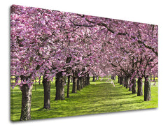 Stenska poslikava dreves ST023E11