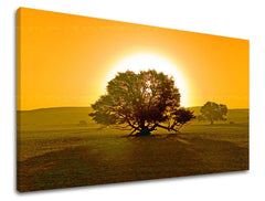 Stenska poslikava dreves - slika 2