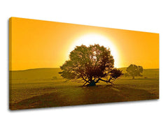 Stenska poslikava PANORAMA DREVESA