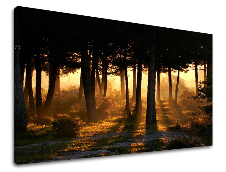 Stenska poslikava dreves ST025E11