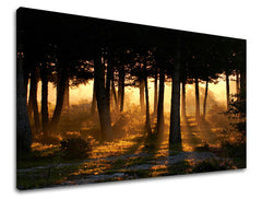 Stenska poslikava dreves ST025E11