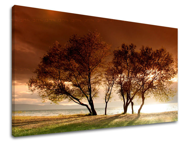 Stenska poslikava Drevesa ST026E11