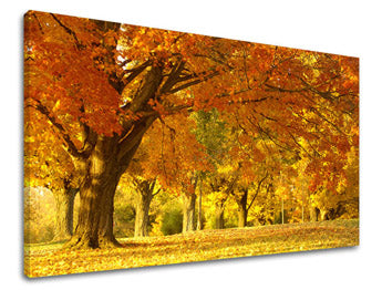 Stenska poslikava Drevesa ST027E11