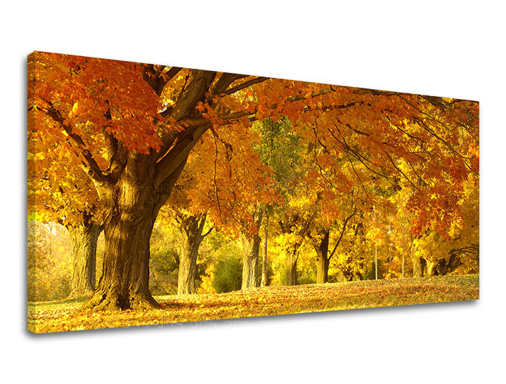 Stenska poslikava PANORAMA TREES ST027E13