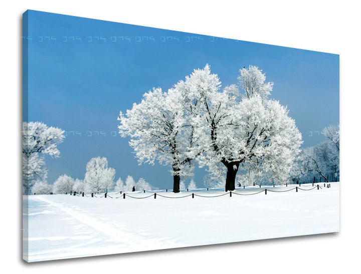 Stenska poslikava Drevesa ST028E11