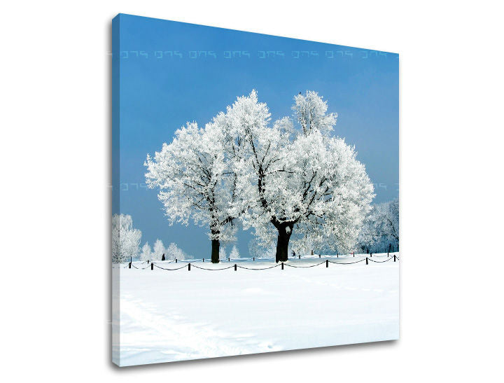 Stensko slikarstvo TREES ST028E12