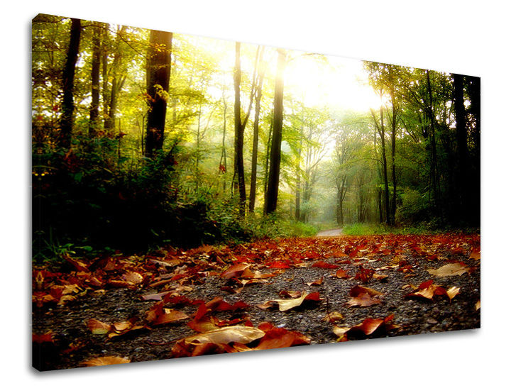 Stenska poslikava dreves ST029E11