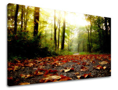 Stenska poslikava dreves ST029E11