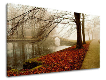 Slikanje sten DREVES ST031E11