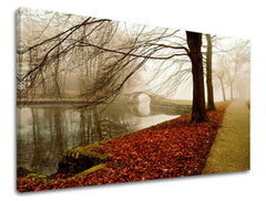 Slikanje sten DREVES ST031E11