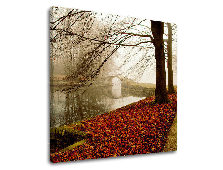 Slikanje sten DREVES ST031E12