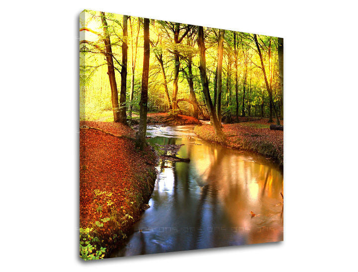 Slikanje sten DREVES ST032E12